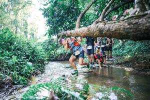 BIB: 
                            <button type="button" onclick="openModal(25448682)" class="btn btn-primary btn-sm float-right btn-popup" data-toggle="modal" data-target=".modal-high-quality">
                        <i class="fas fa-shopping-cart"></i> Add to Cart
                    </button>
                                            <button type="button" onclick="isThisMe(25448682, true)" class="btn btn-success btn-sm float-right btn-popup btn-isme hidden" data-toggle="tooltip" data-placement="bottom" title="นี่คือรูปของคุณใช่ไหม คลิกที่นี่เพื่อเอาเข้าอัลบั้ม">
                        <i class="fas fa-plus"></i> Add to album
                    </button>
                    <button type="button" onclick="isThisMe(25448682, false)" class="btn btn-warning btn-sm float-right btn-popup btn-isnotme hidden">
                        <i class="fas fa-ban"></i> Remove from album
                    </button>